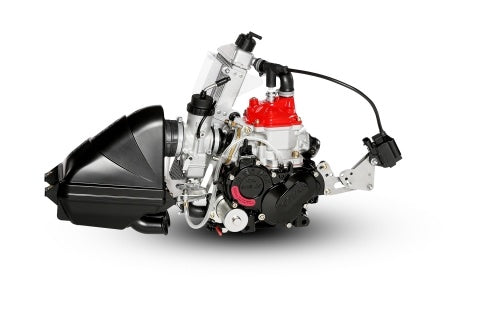 Rotax Junior max completo