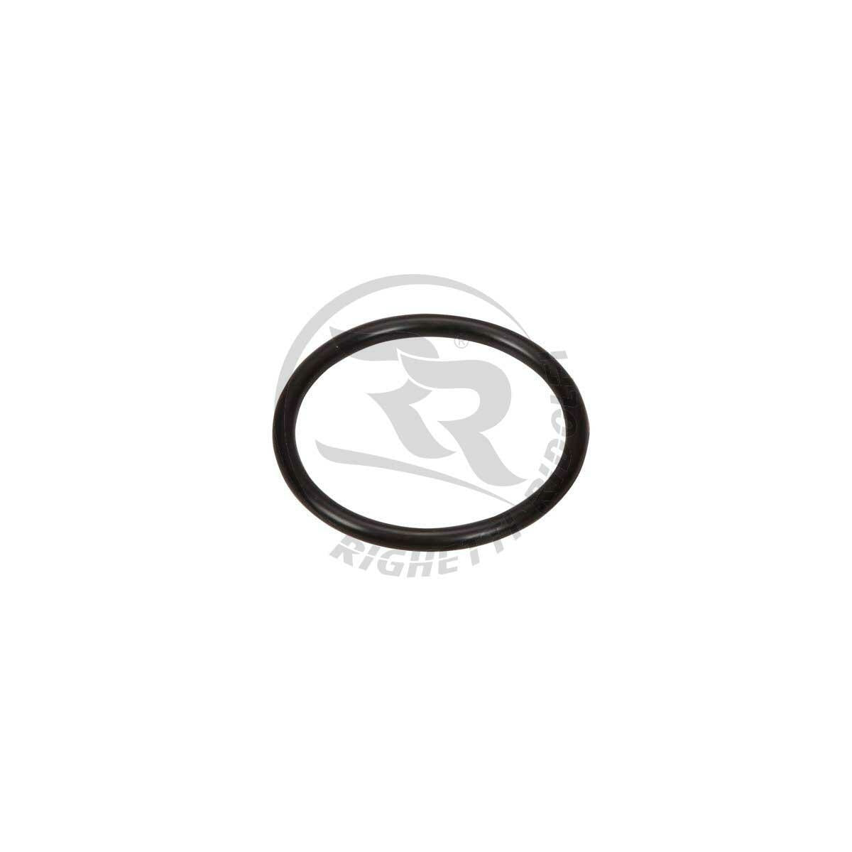 Elastico filtro aria RR