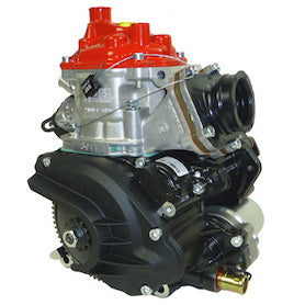 Motore Rotax Micro Max Kale