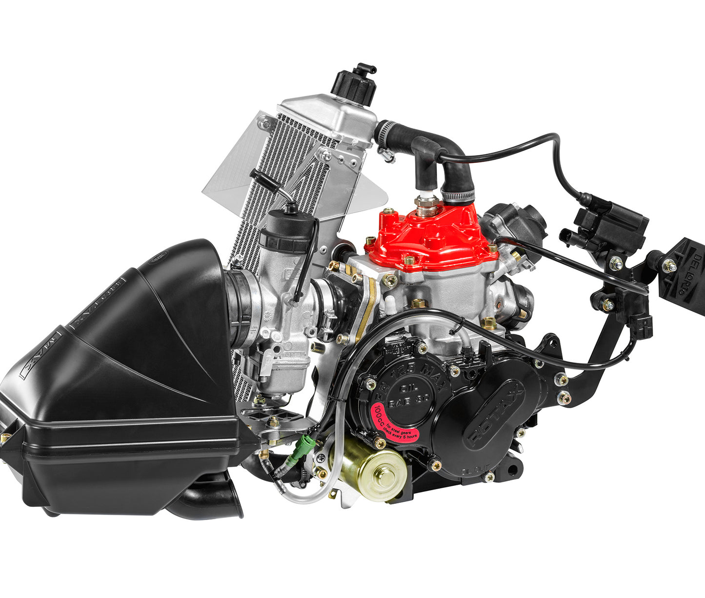 Rotax Senior max completo