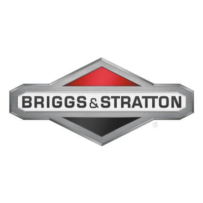 Briggs & Stratton - KartKings