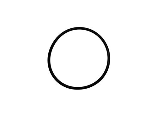 Waterpomp O-ring 115mm