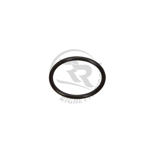 Elastico filtro aria RR