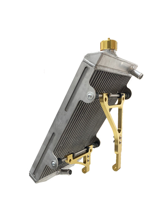 Radiatore AF tipo 21 430x240x40 Oro incl. montaggio