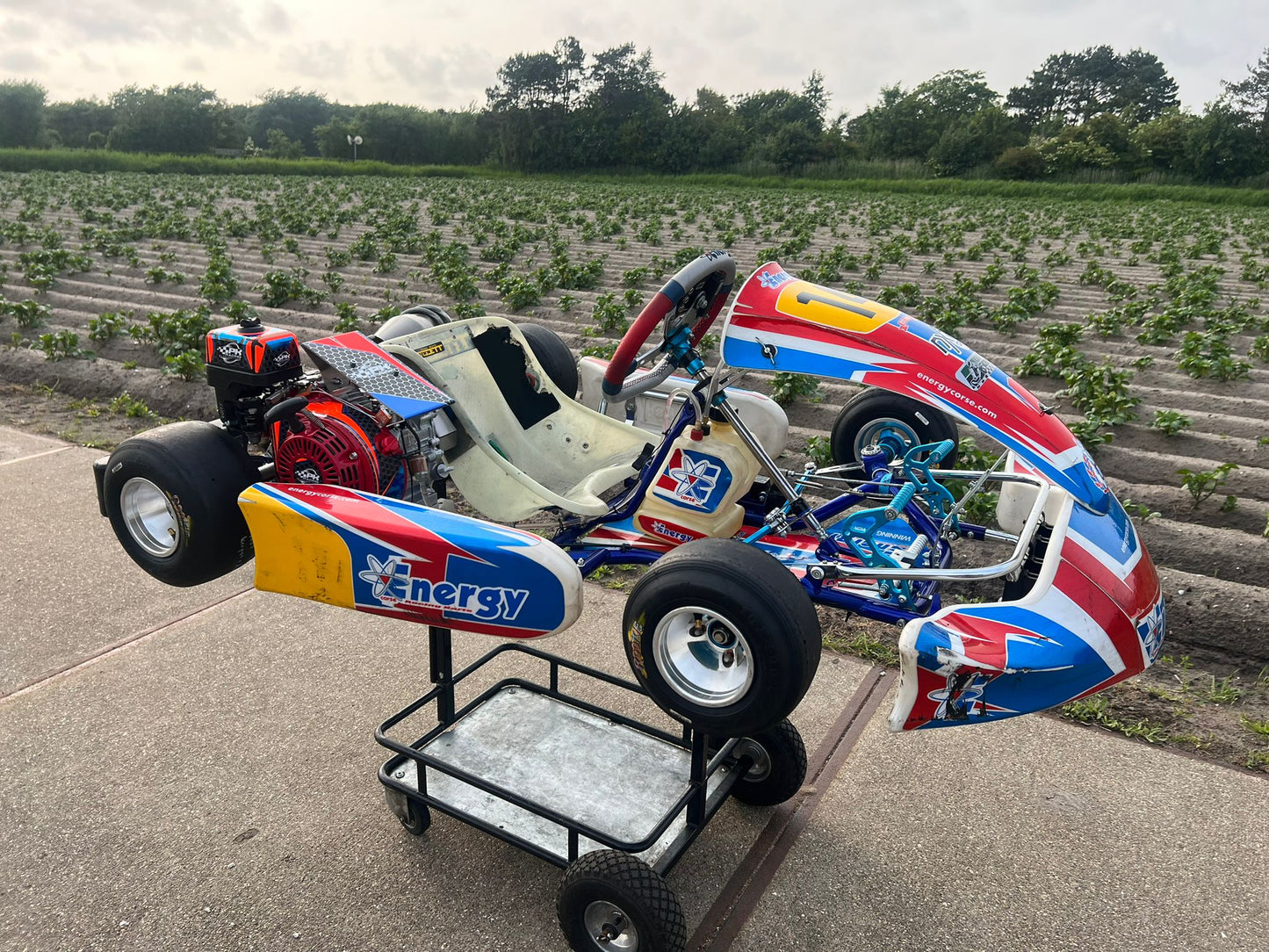 Usato Energy Corse Storm Mini Cadet GX160cc