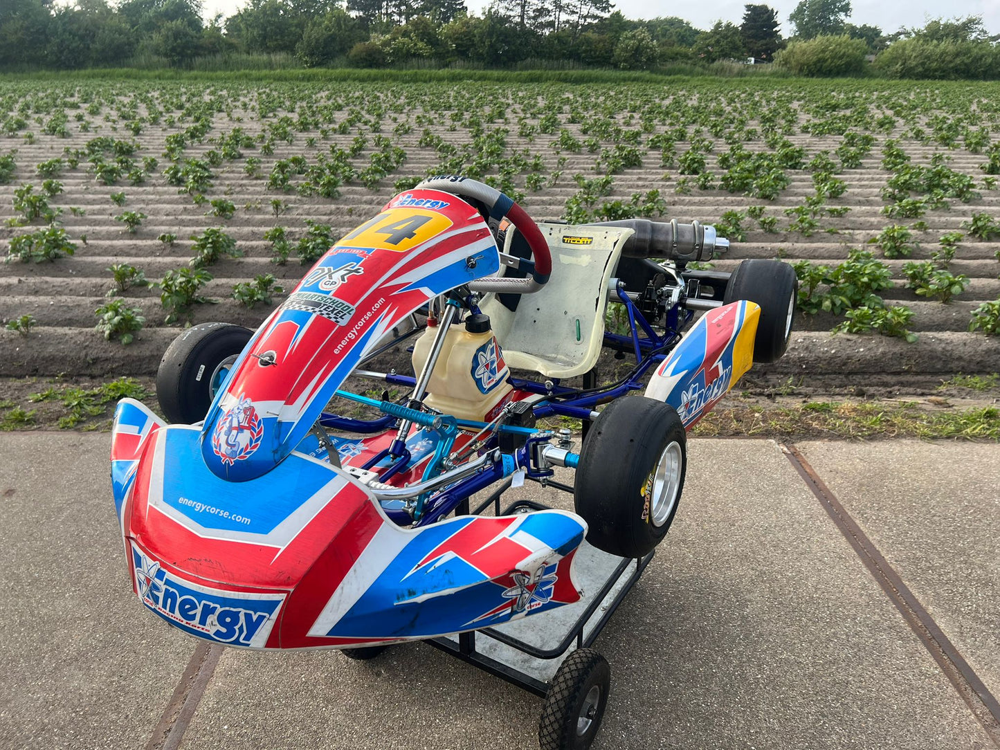 Usato Energy Corse Storm Mini Cadet GX160cc