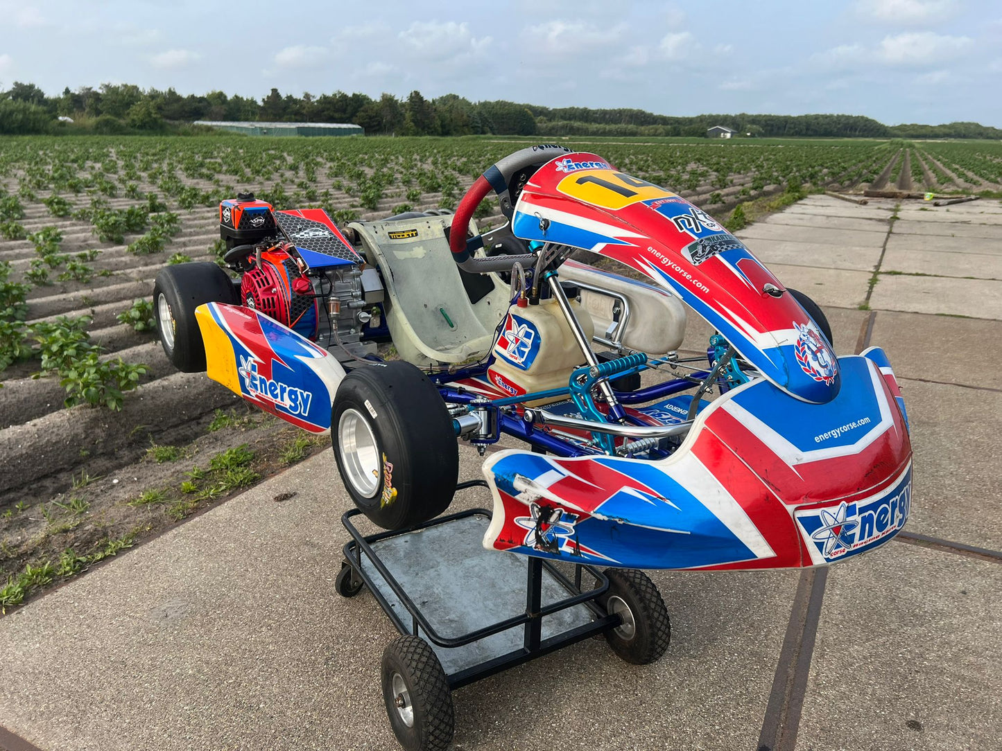 Usato Energy Corse Storm Mini Cadet GX160cc