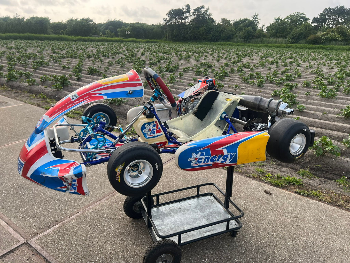 Usato Energy Corse Storm Mini Cadet GX160cc