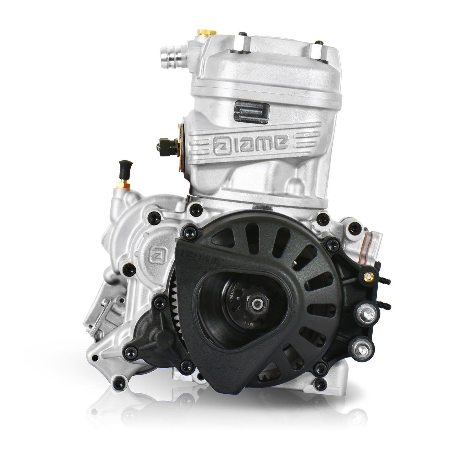 Iame X30 completo 125CC JUNIOR Con ammortizzatore IAME